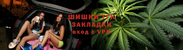гашик Абаза