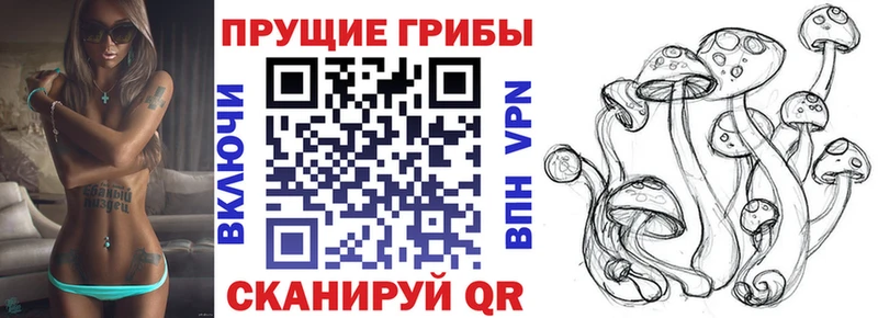 Псилоцибиновые грибы GOLDEN TEACHER  Нефтеюганск 